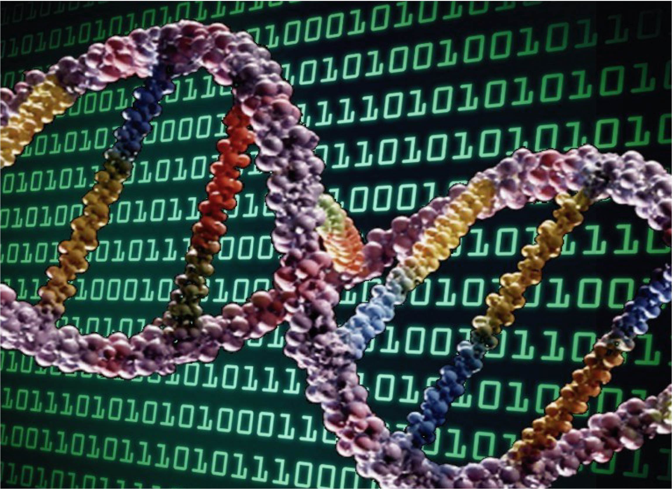 Человек и матрица ДНК